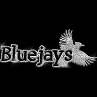 GLT17 SILVER GLITTER Thumbnail