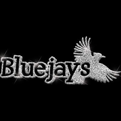 GLT17 SILVER GLITTER Thumbnail