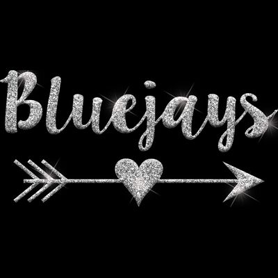 GLT46 SILVER GLITTER Thumbnail