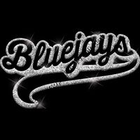 GLT78 SILVER GLITTER Thumbnail