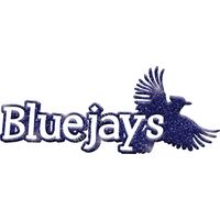 GLT17 BLUE GLITTER Thumbnail