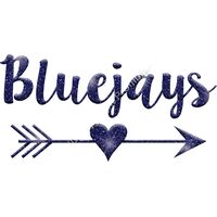 GLT46 BLUE GLITTER Thumbnail